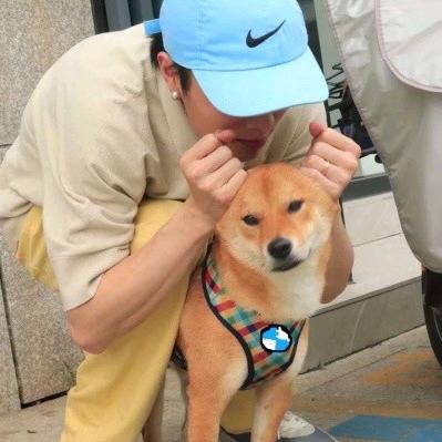 大众壮壮
