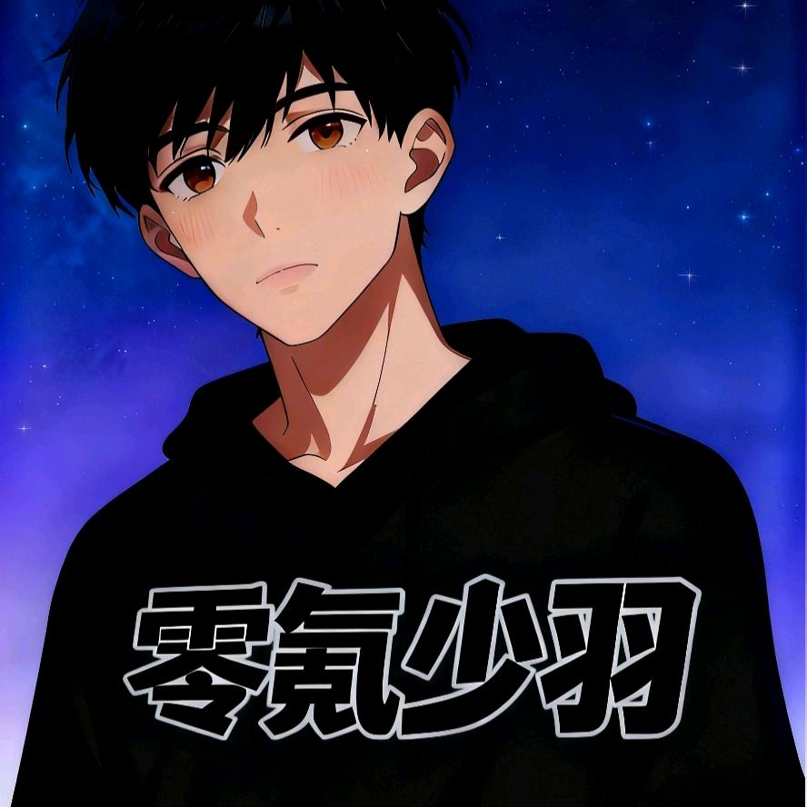 爱玩游戏的少羽