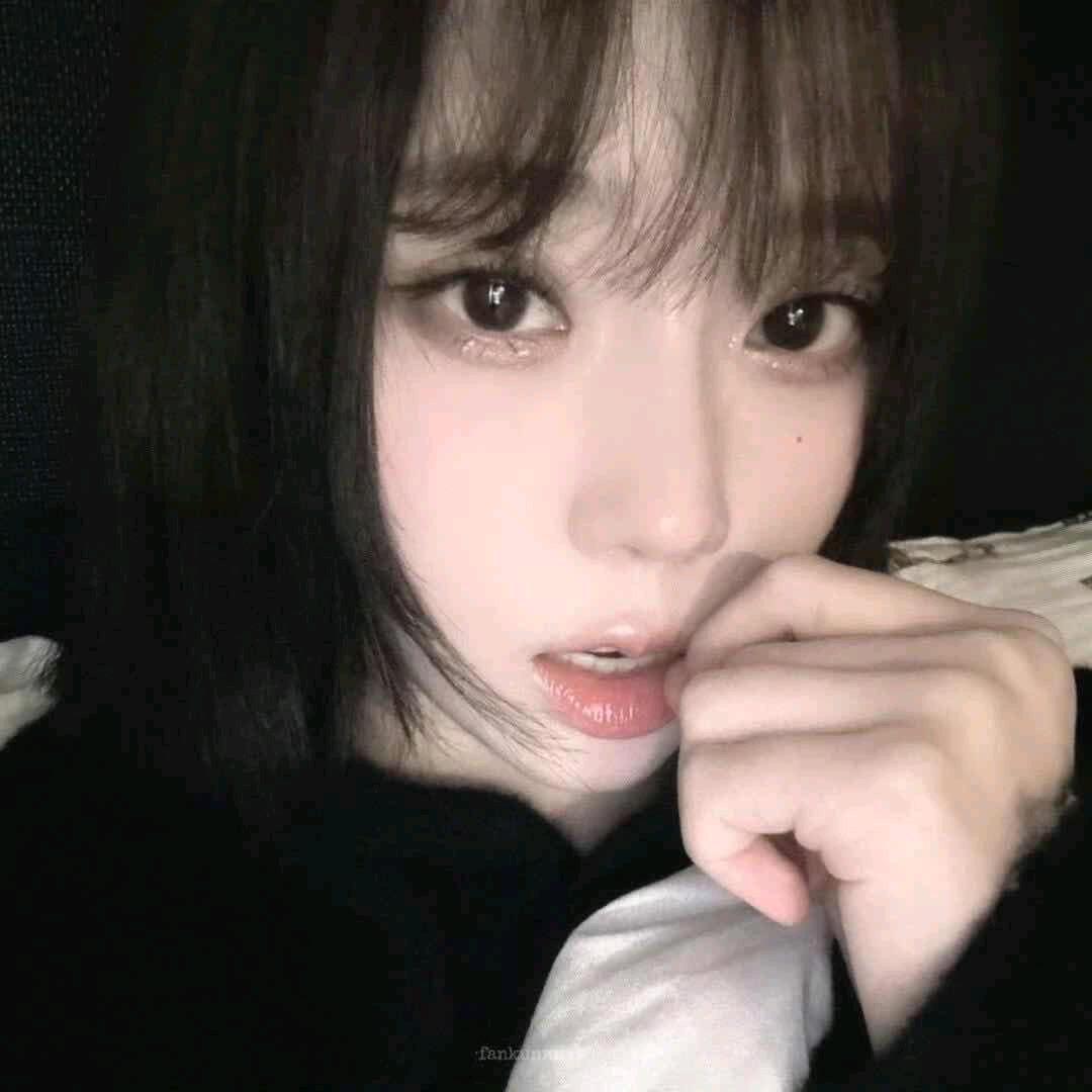 Komorebi.