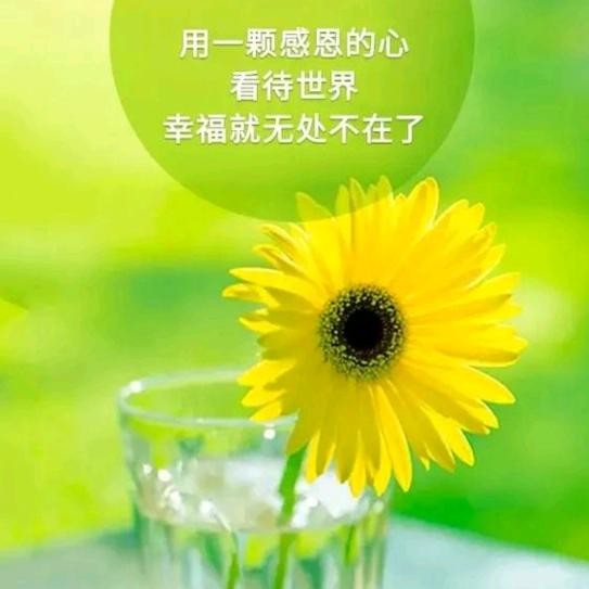 鹏程万里