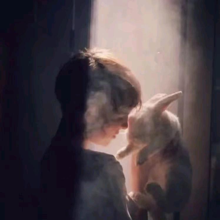 淡花笺（浪漫） 　   　   ༽