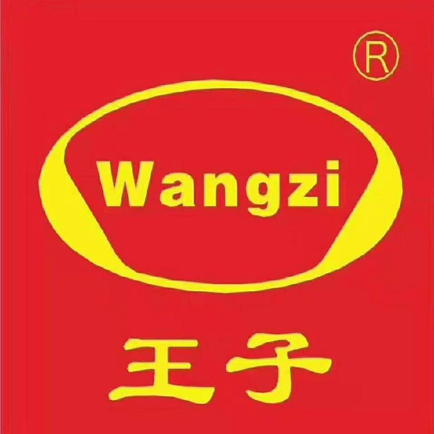夷兴大道王子鞋城