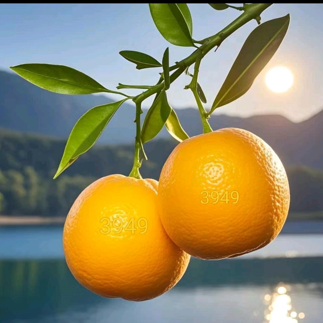 @幸福人生.元亨利贞3949