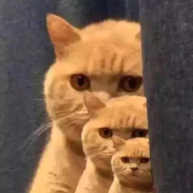 马甲