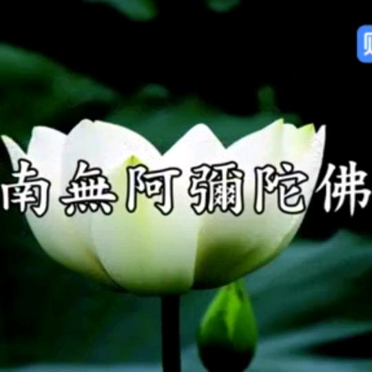 改过自新🙏🙏🙏