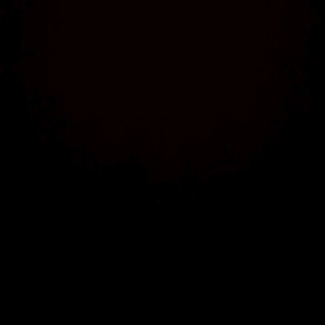 🤡吕傲天