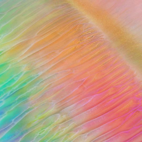 陪娃奋斗十八年