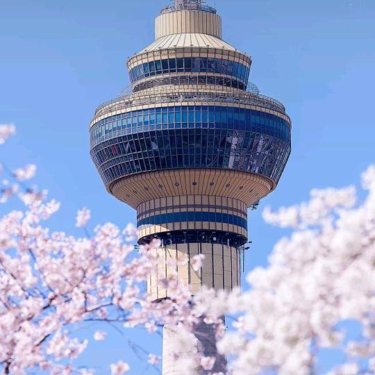 山西起飞线科技有限公司642企业店