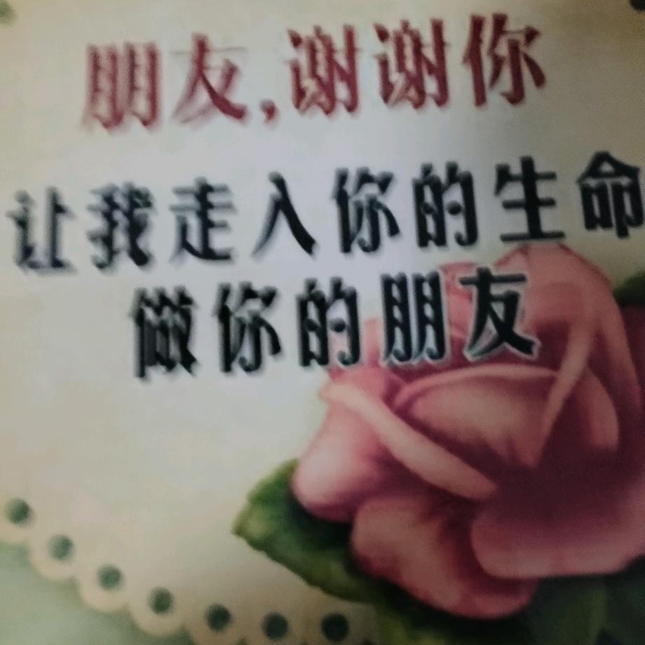 莲花