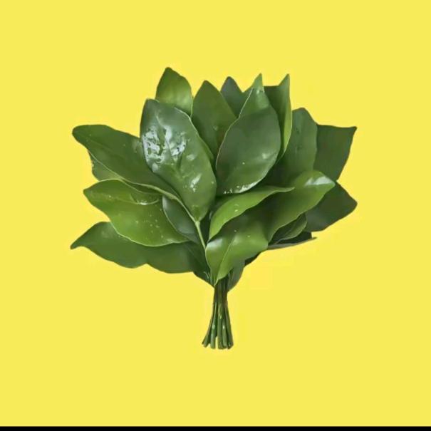 木木很木