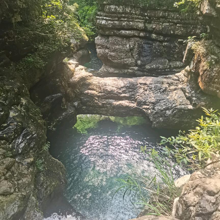 搁浅随风