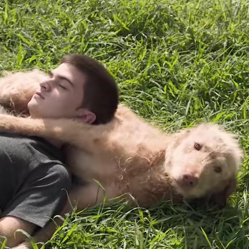 被㣻罖的时光 被"1️⃣直很安静"