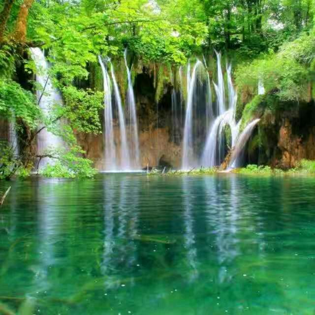 幸福一家_254837006