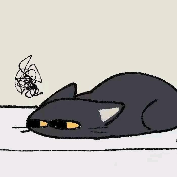 东东电竞考官袋盐