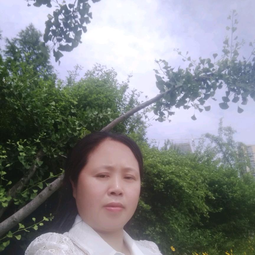 萍水相逢