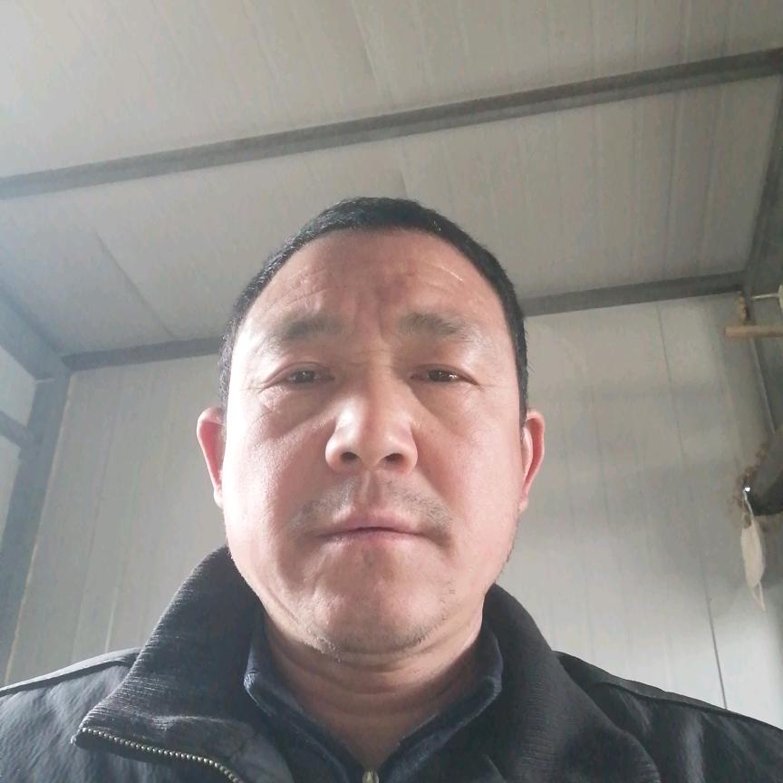 曾哥养鸡