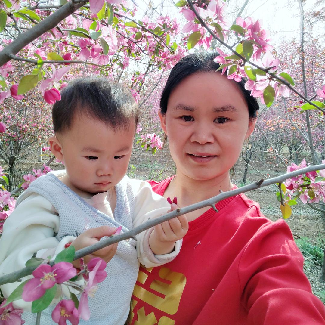 雪尼尔