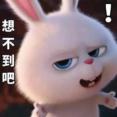 骑老奶奶闯红灯