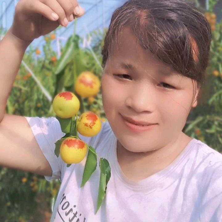 冬枣睿妈(大荔枣农)