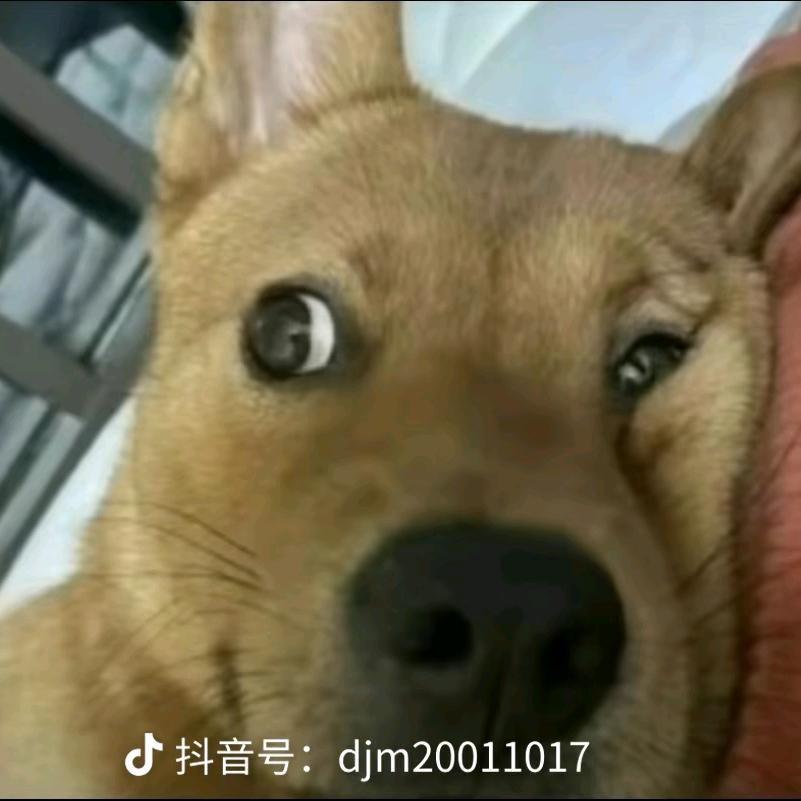 寄给那把波奇牛巴玻璃巴阿杜尬度泥马果度该