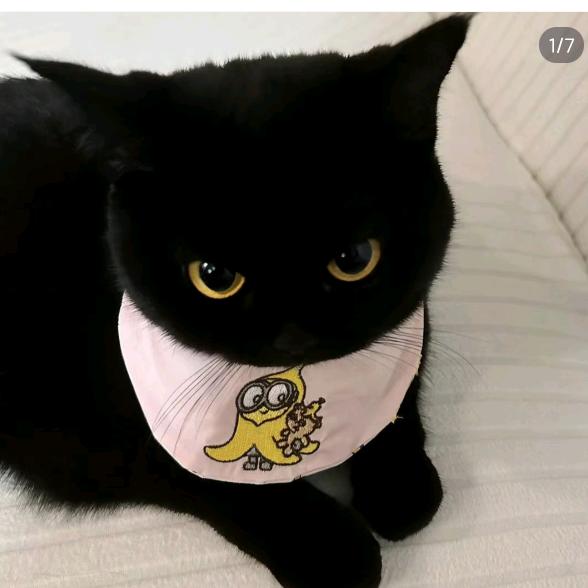 想去海边🏝️.