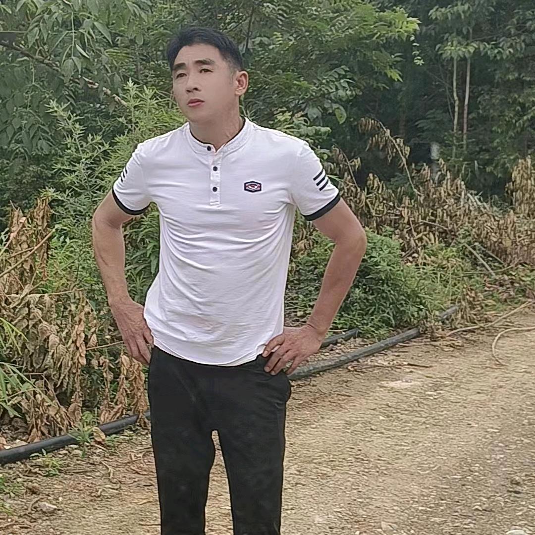 你若爱我，我会真心待你