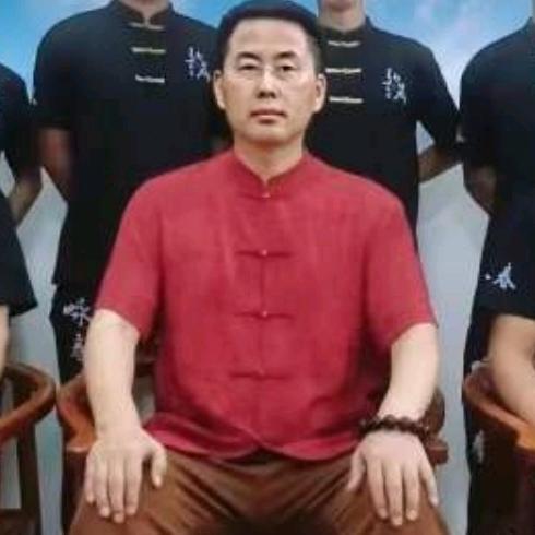 武医禅道--李金龙