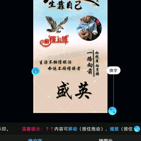 盛英