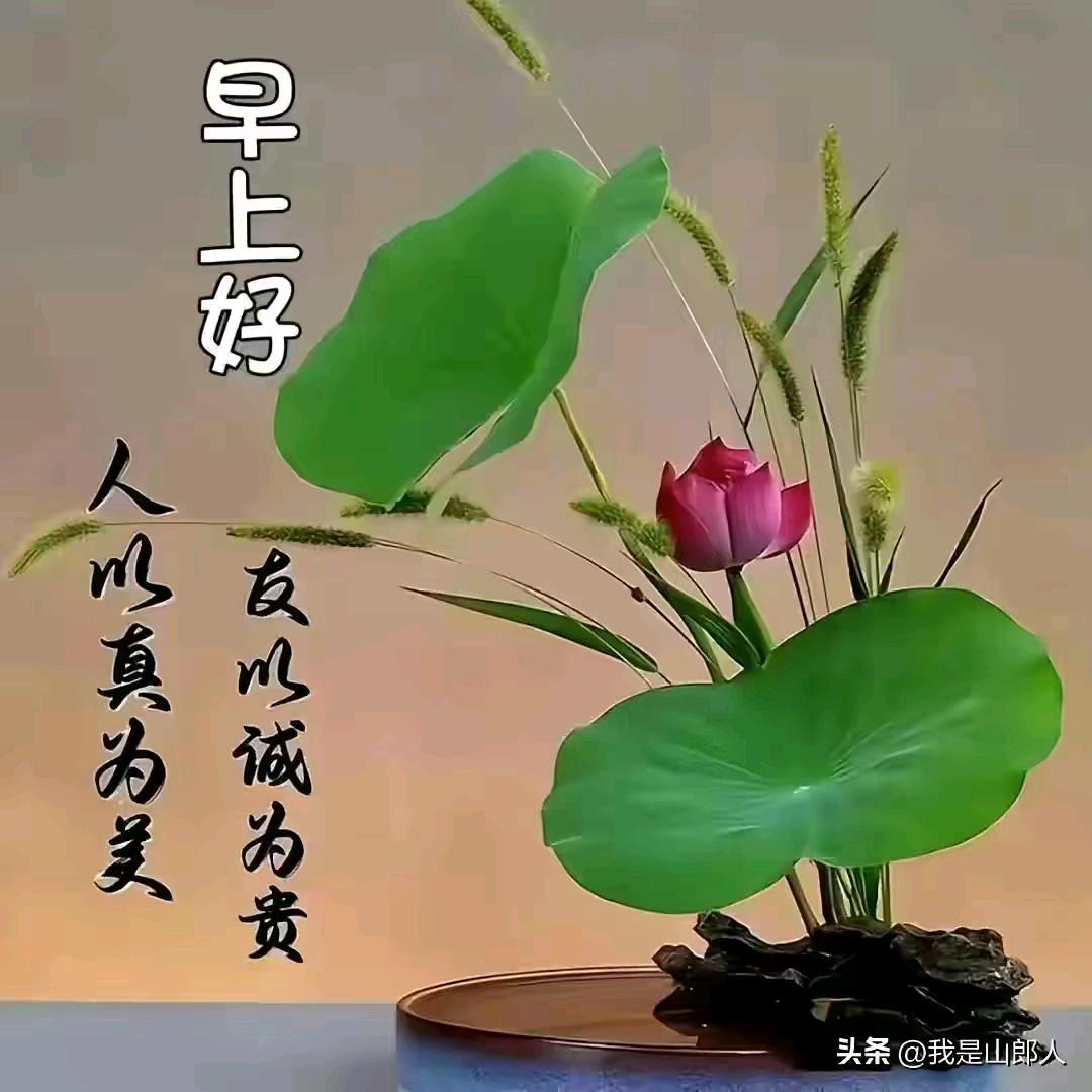 伊维家，家纺