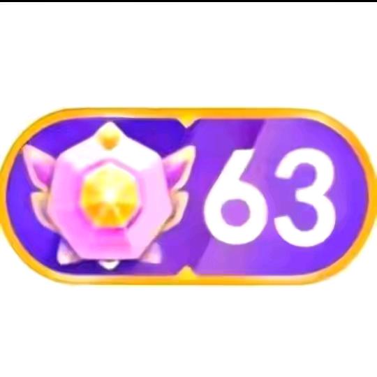 邵东桥哥，光洪通讯🔥