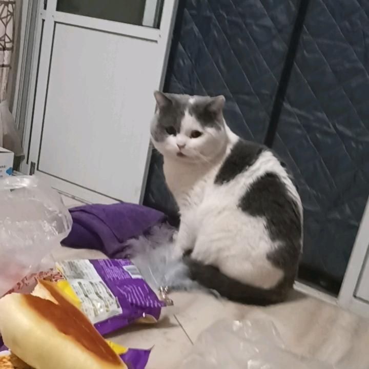 转身陌路
