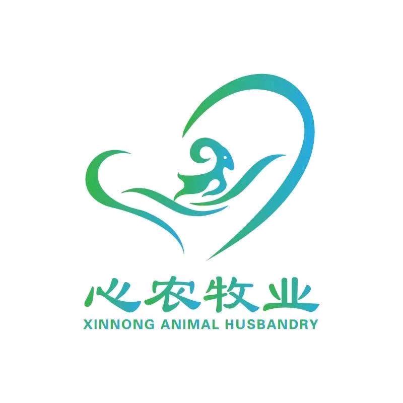 心农养羊