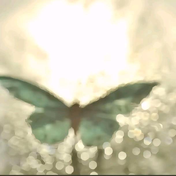 荔枝冰太好吃了