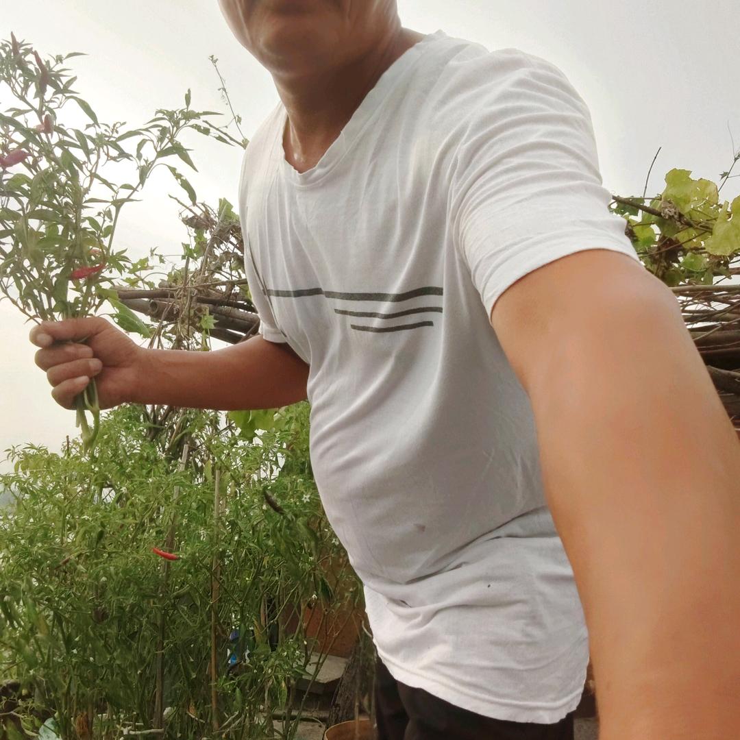 在水上