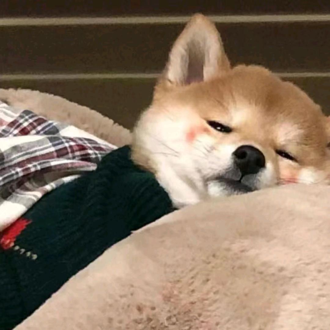 北渚