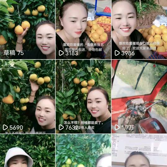 张三姐果农