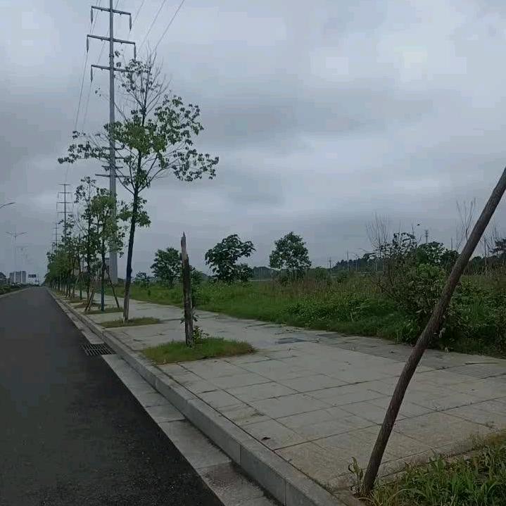 🥂阳跃宝💖