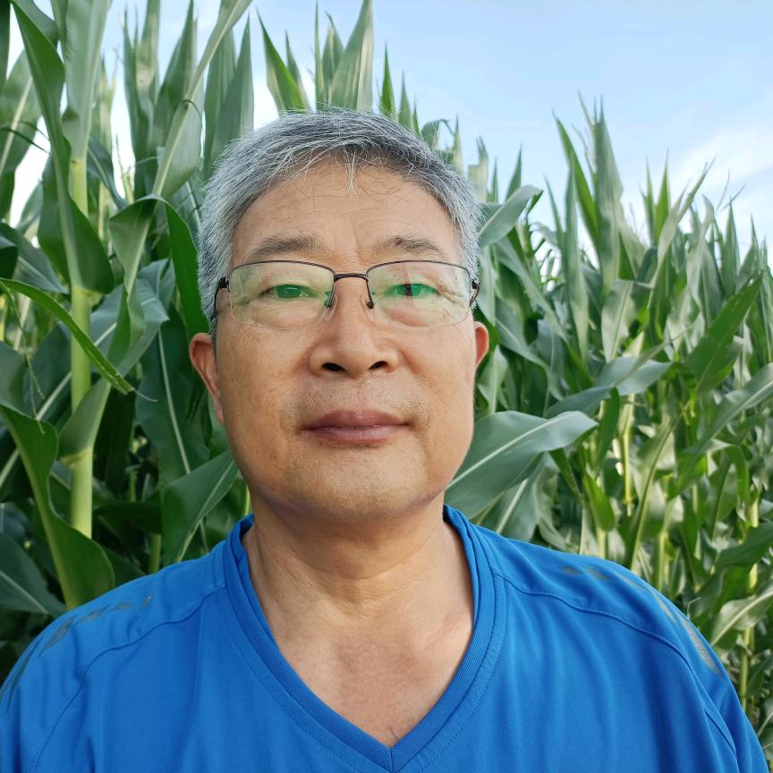 乡村朱哥歌