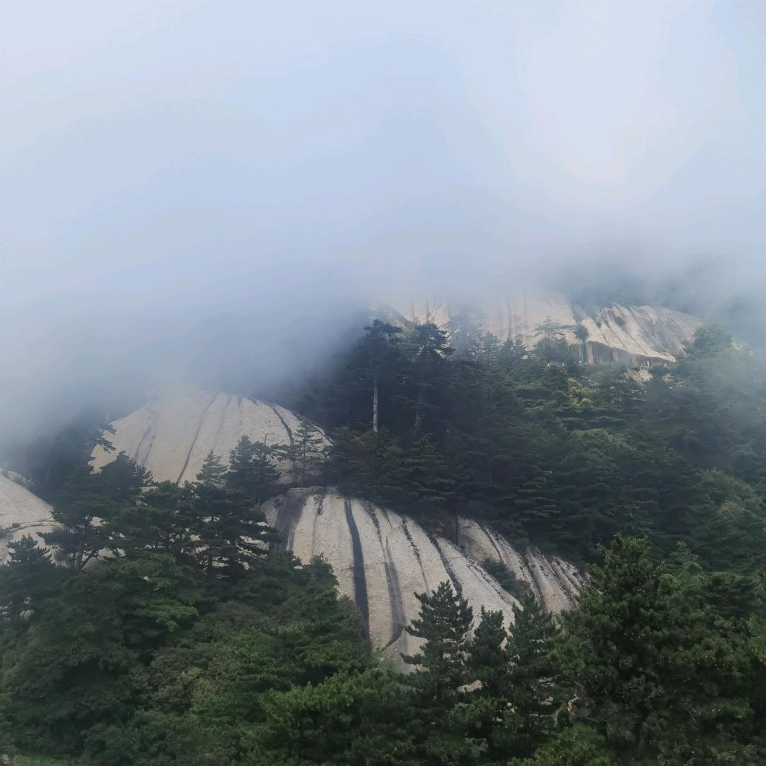 ℳঞᩚ随遇而安ꦿ᭄࿐