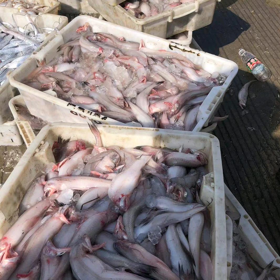 海鲜妈妈