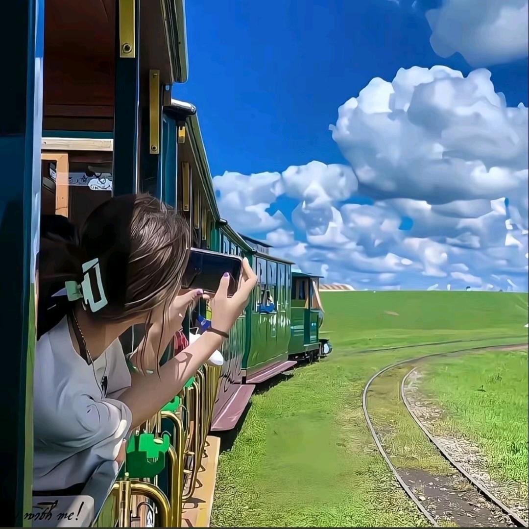 静柏