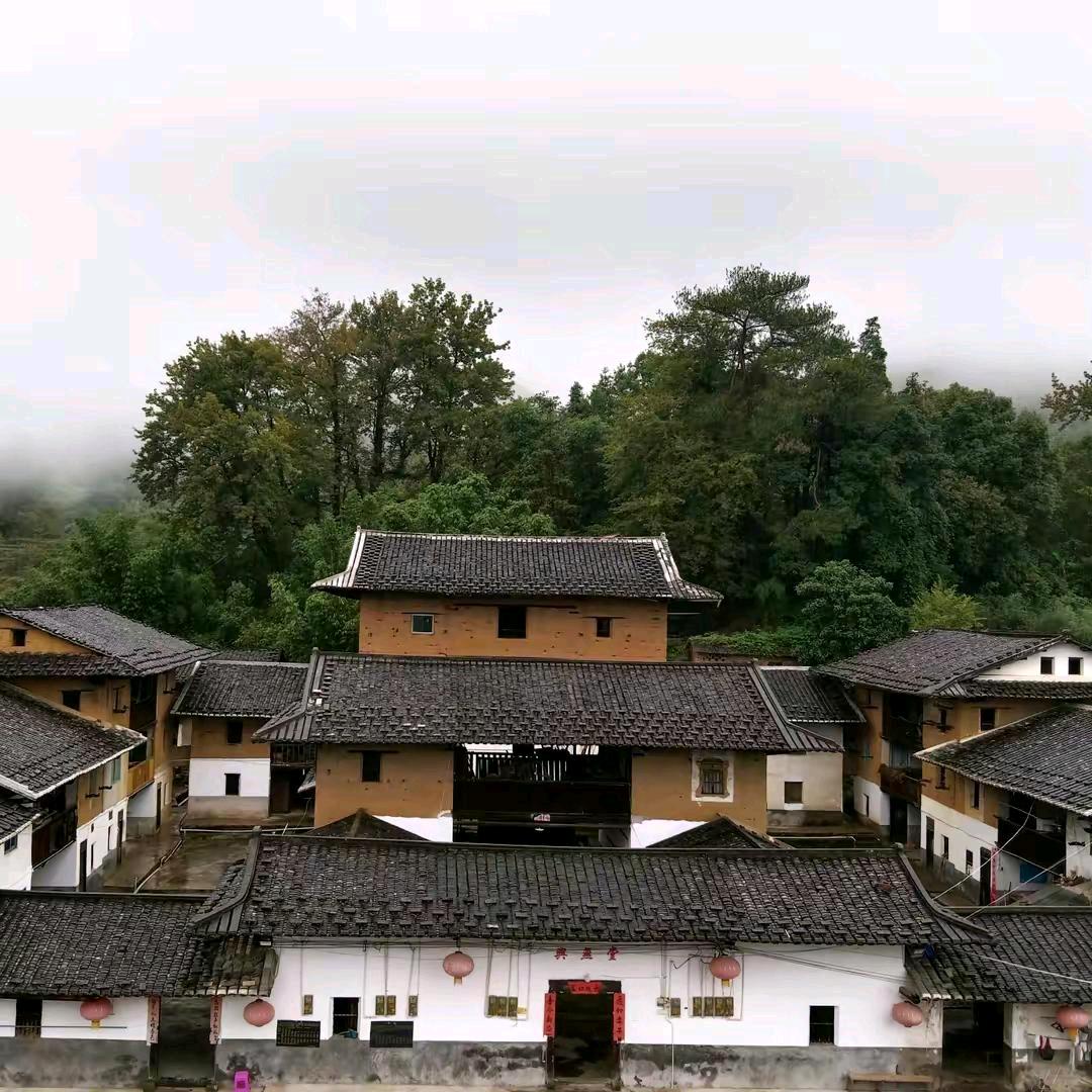 龙来了，