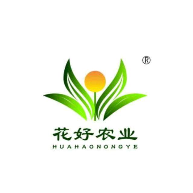 花好豆干批发代理