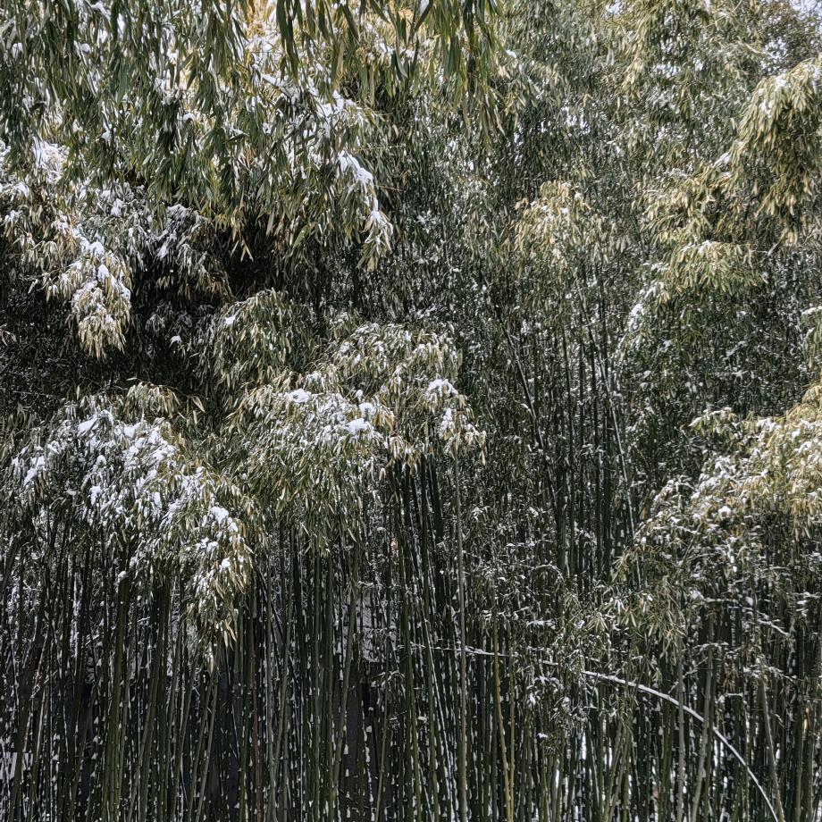 弱水三千只取一瓢饮