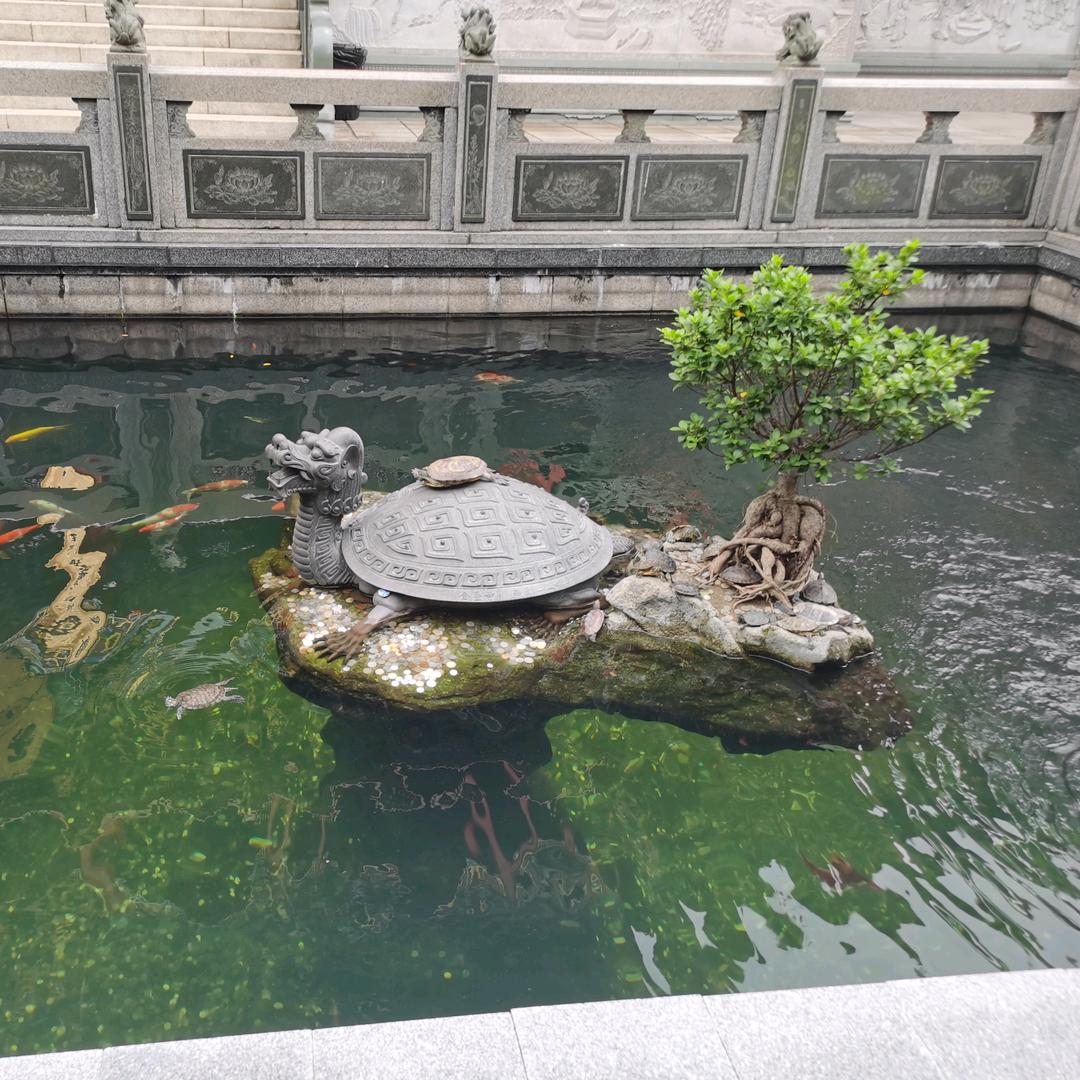 一念欢喜