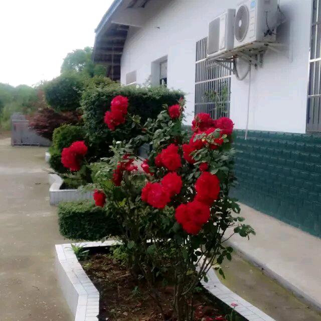 駱🐂¹⁹₉₇伍℘࿐