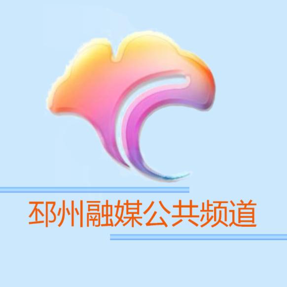 邳州融媒公共频道