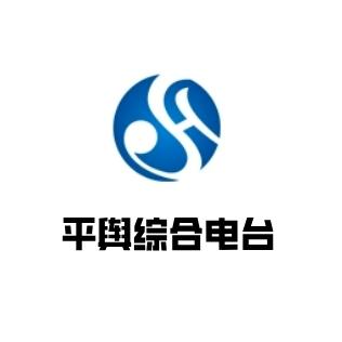 平舆综合电台