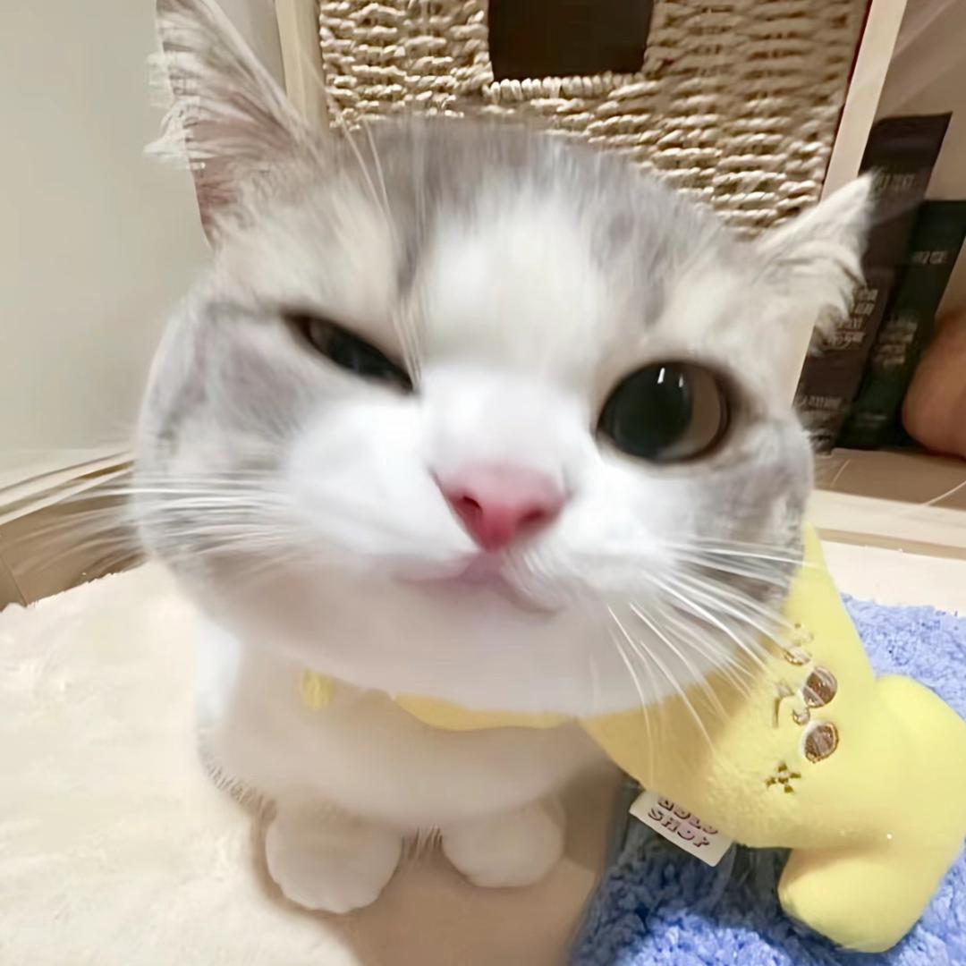 香蕉追剧