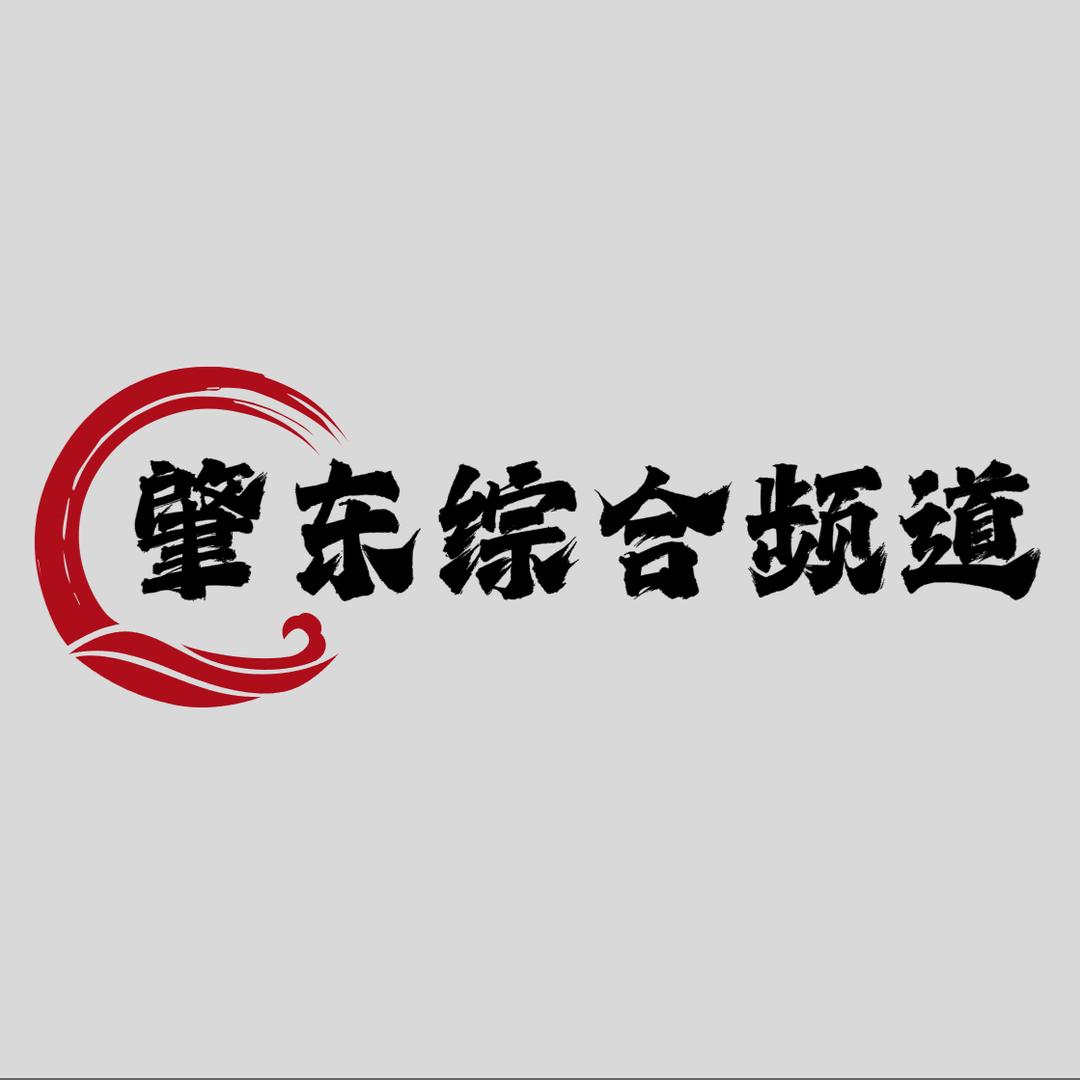 肇东综合频道